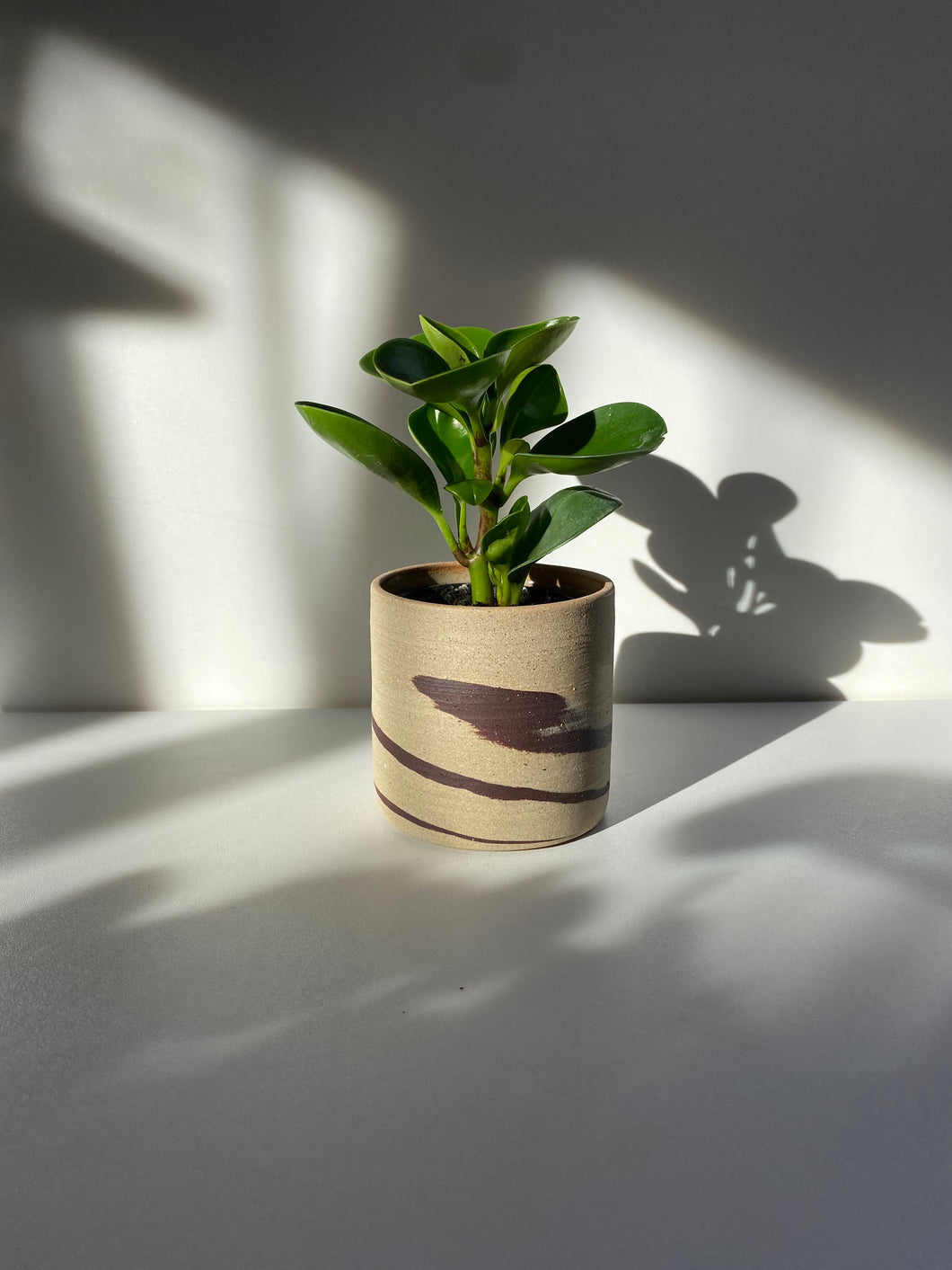 Small planter