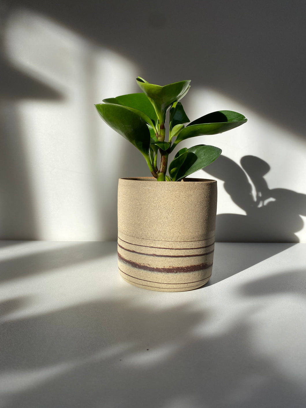 Small planter