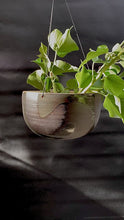 Load and play video in Gallery viewer, Hanging planter - large
